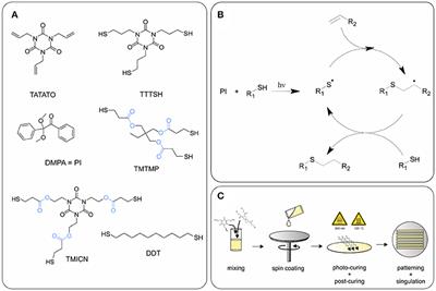 Softening Shape Memory Polymer Substrates for Bioelectronic Devices With Improved <mark class="highlighted">Hydrolytic Stability</mark>